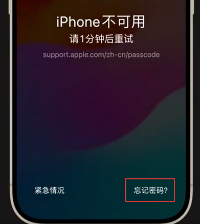 鄂城苹果手机密码维修分享iPhone忘记了刚设置的密码 