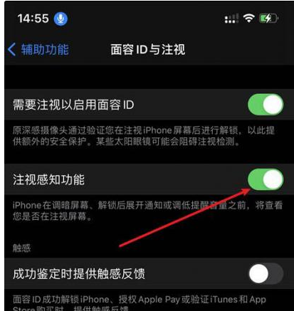 鄂城苹果14维修网点分享iPhone14注视感知功能有什么用 