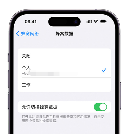 鄂城苹果维修服务分享如何在iPhone上使用双卡 